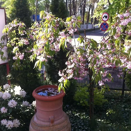 Gryf Mielno (Koszalin)