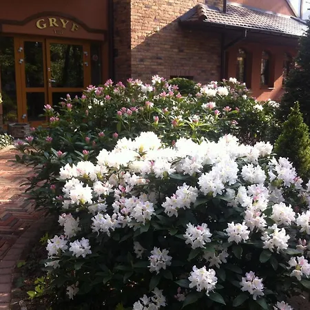 Gryf Rum i privatbostad