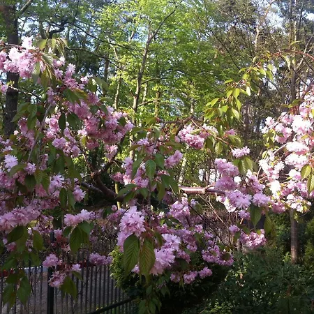 Rum i privatbostad Gryf