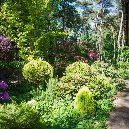 Gryf Rum i privatbostad Mielno (Koszalin)