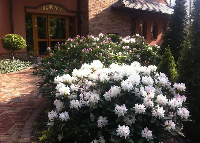 Gryf Проживание в семье